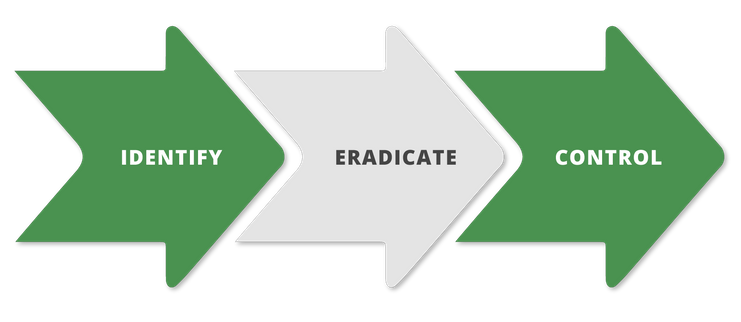 System infographic