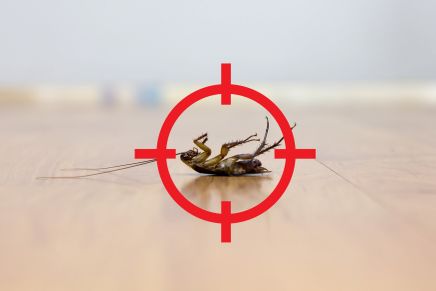 COCKROACH CONTROL